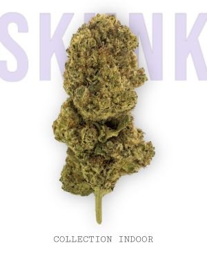 SKUNK