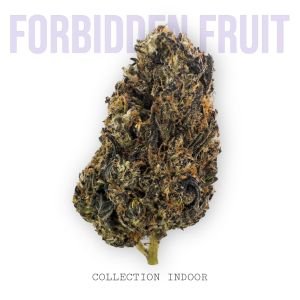 FORBIDDEN FRUIT